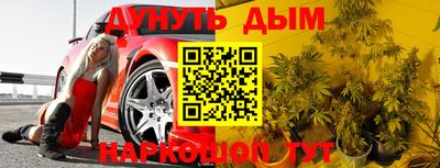 сатива Изобильный