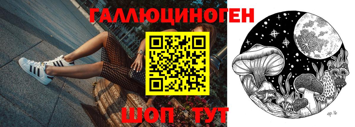 Псилоцибиновые грибы Magic Shrooms  Вход с VPN  Галлюциногенные грибы Psilocybe  Радужный 
