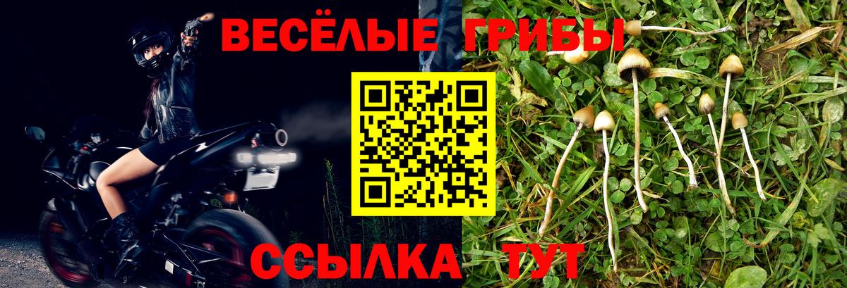 Псилоцибиновые грибы Cubensis Радужный